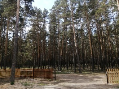 Сдам в аренду новые дома домики для отдыха в Зеренде