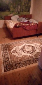 Костанайская область, Лисаковск