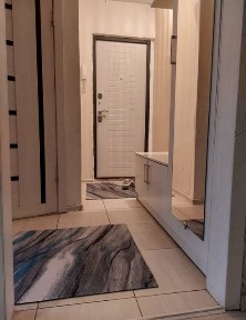 Двухкомнатные квартиры посуточно в центре города