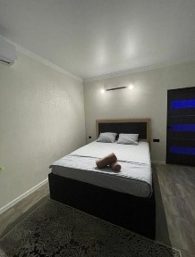 Актюбинская область, Актобе, Акация