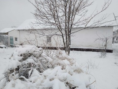 Туркестанская область, Сарыагаш