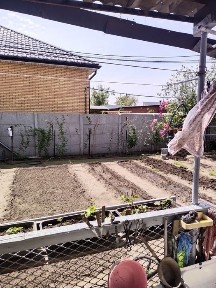 Павлодарская область, Павлодар