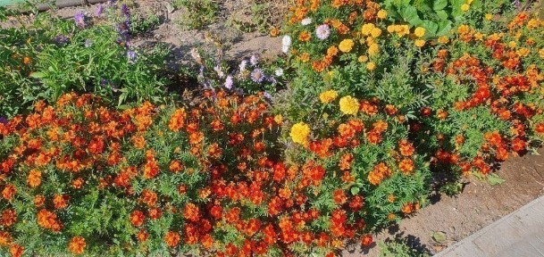 Карагандинская область, Балхаш