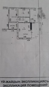 Актюбинская область, Актобе, Акация