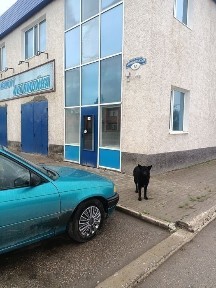 Здам в аренду коммерческое прмещение