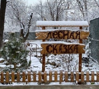Шымкент. Лесная сказка. Дача Кайнар. Суточный котедж