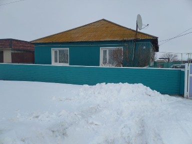 Дом в селе Александровка