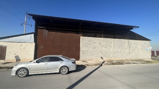 Туркестанская область, Сауран