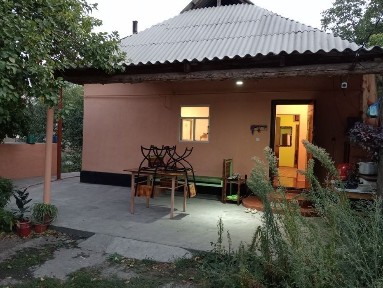 Туркестанская область, Сауран