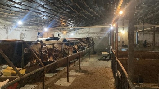 Готовая ферма: земля, жильё, база под скот. Обмен возможен. Фазенда