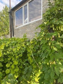 Продам частный сектор