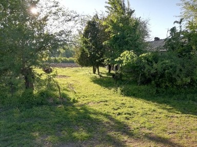 Алматинская область, Казахстан