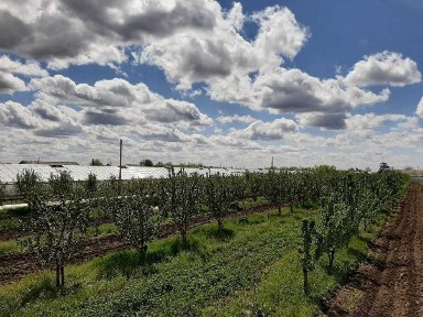 Западно-Казахстанская область, Уральск, 2-й рабочий