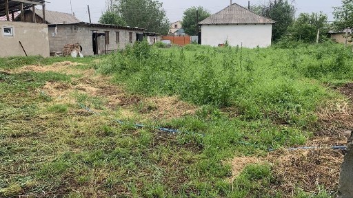 Дом или дача продам срочно