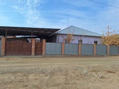 Кызылординская область, Алмалы