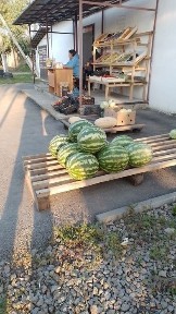 Северо-Казахстанская область, Петропавловск