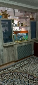 Жамбылская область, Болтирик шешен