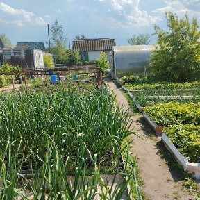 Северо-Казахстанская область, Петропавловск