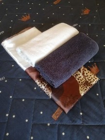 Павлодарская область, Павлодар