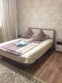 Гостиница Береке день 4500 ночь 5500сутка8000