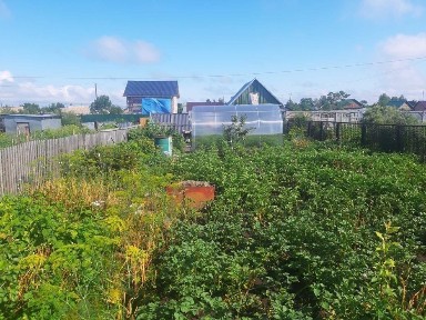 Северо-Казахстанская область, Петропавловск