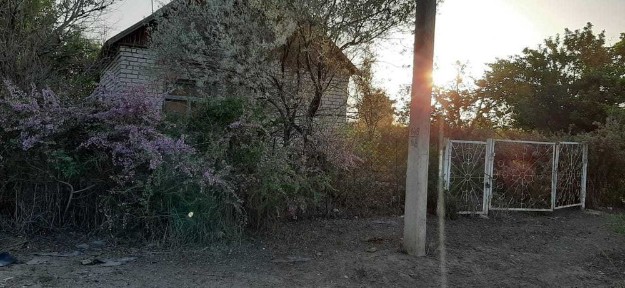 Кызылординская область, Алмалы