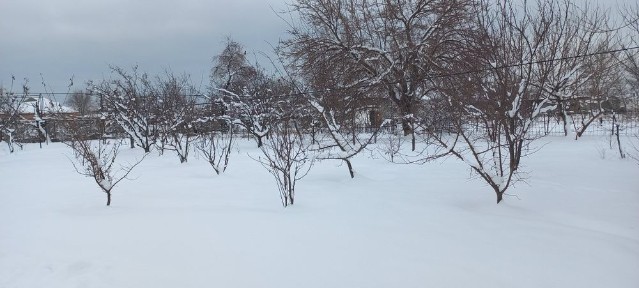Туркестанская область, Шардара