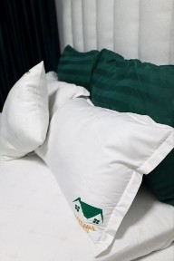 Костанайская область, Костанай