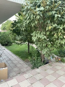 Туркестанская область, Шымкент, Енбекшинский район