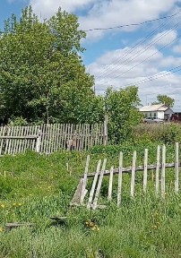 Акмолинская область, Астана, Нура