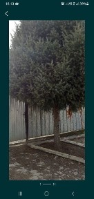 Алматинская область, Жандосово