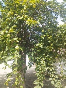 Часть дома 4 комнаты 76,1 м2 15 сот., Мәншүк Мәметовой 20