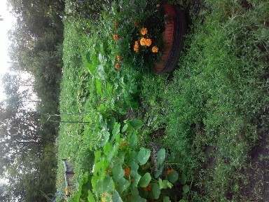 Северо-Казахстанская область, Смирново