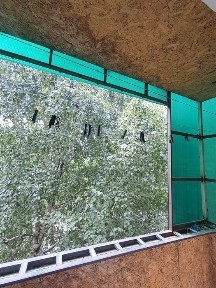 Алматинская область, Текели