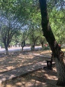 Жамбылская область, Тараз, 10-мкр. Аса