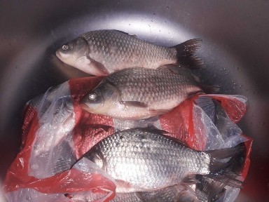 Дом в живописном месте Костанайской области