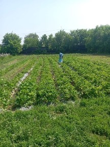 Продам дом на ГРП