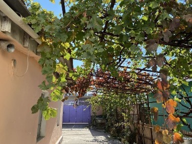 Продается дом Аксукент ул казыбек би 54