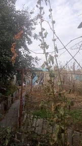 Срочно продам дом