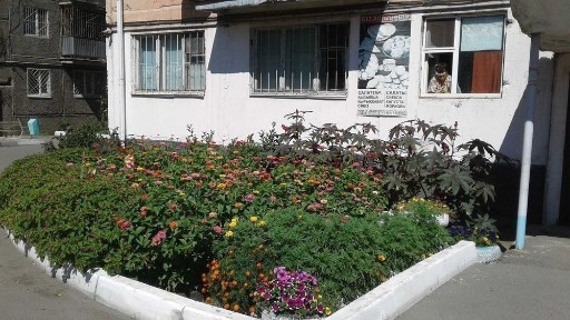 Павлодарская область, Экибастуз