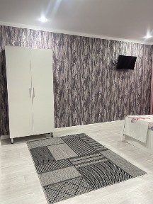 Жамбылская область, Болтирик шешен