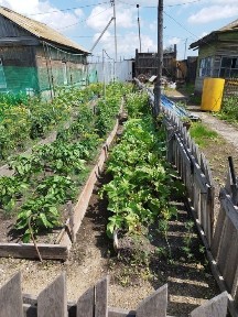 Северо-Казахстанская область, Байтерек