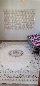 Продам дом от города 35- 40км с. Петропавловка