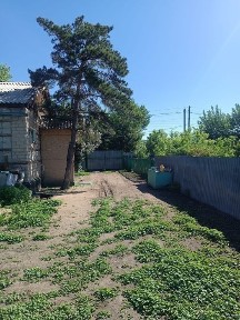 Северо-Казахстанская область, Кишкенеколь