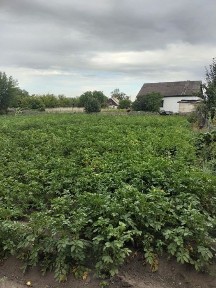 Продам дом в п. Долинка (ГРП)