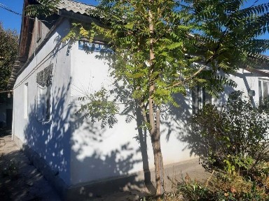 Жамбылская область, Толе би