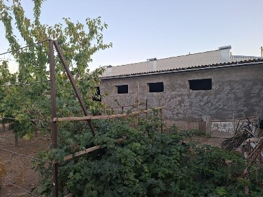 Үй сатылады. Сайрам, Қызыл су