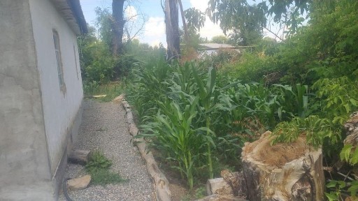 Продам дом на станции коксу