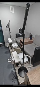 Туркестанская область, Сауран