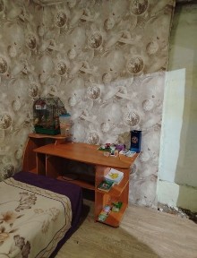 Ефремовка, н 3